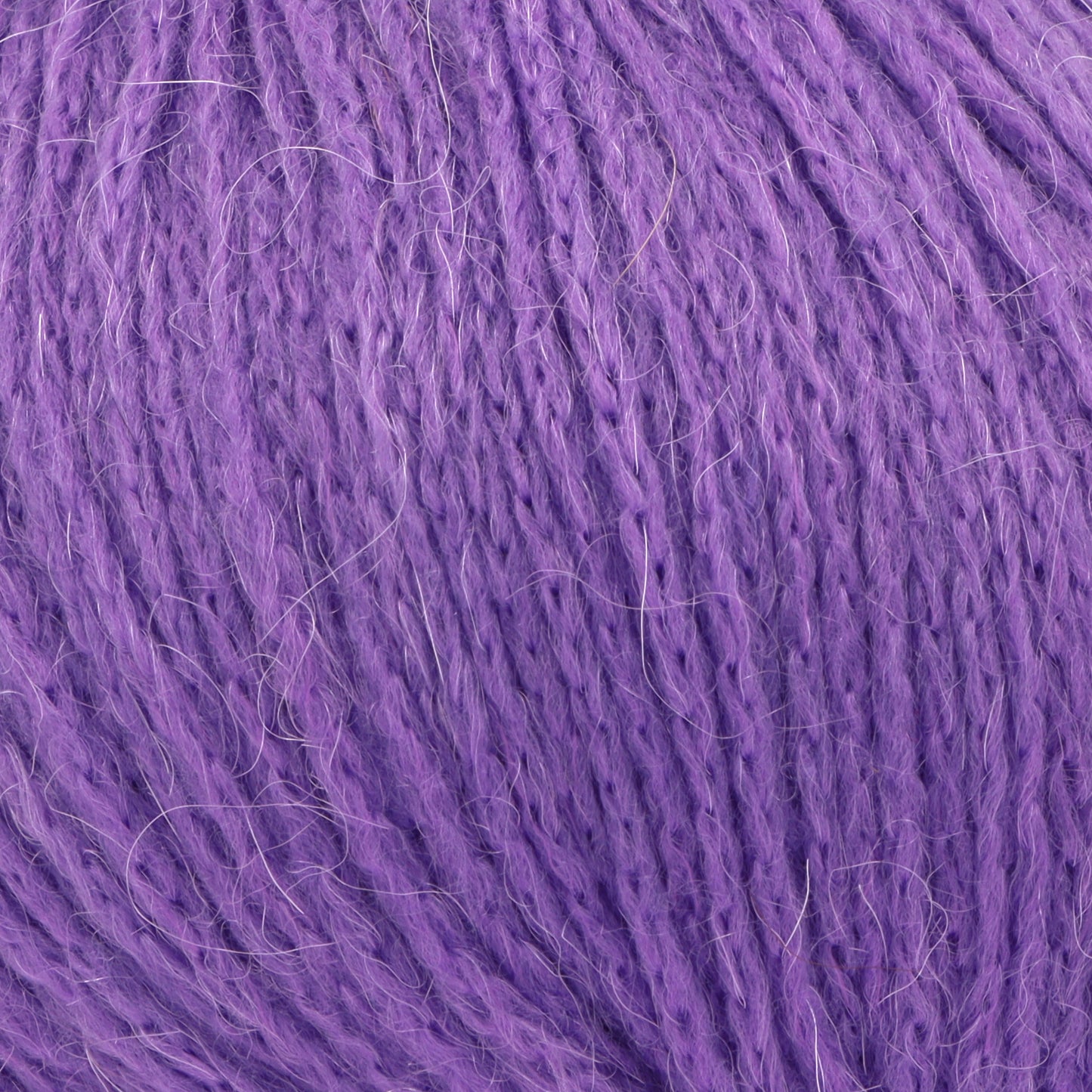Eternity DK 5904 Regal