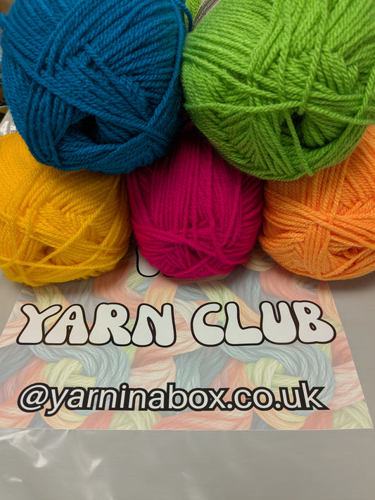 Stylecraft Special DK Yarn Club VIP