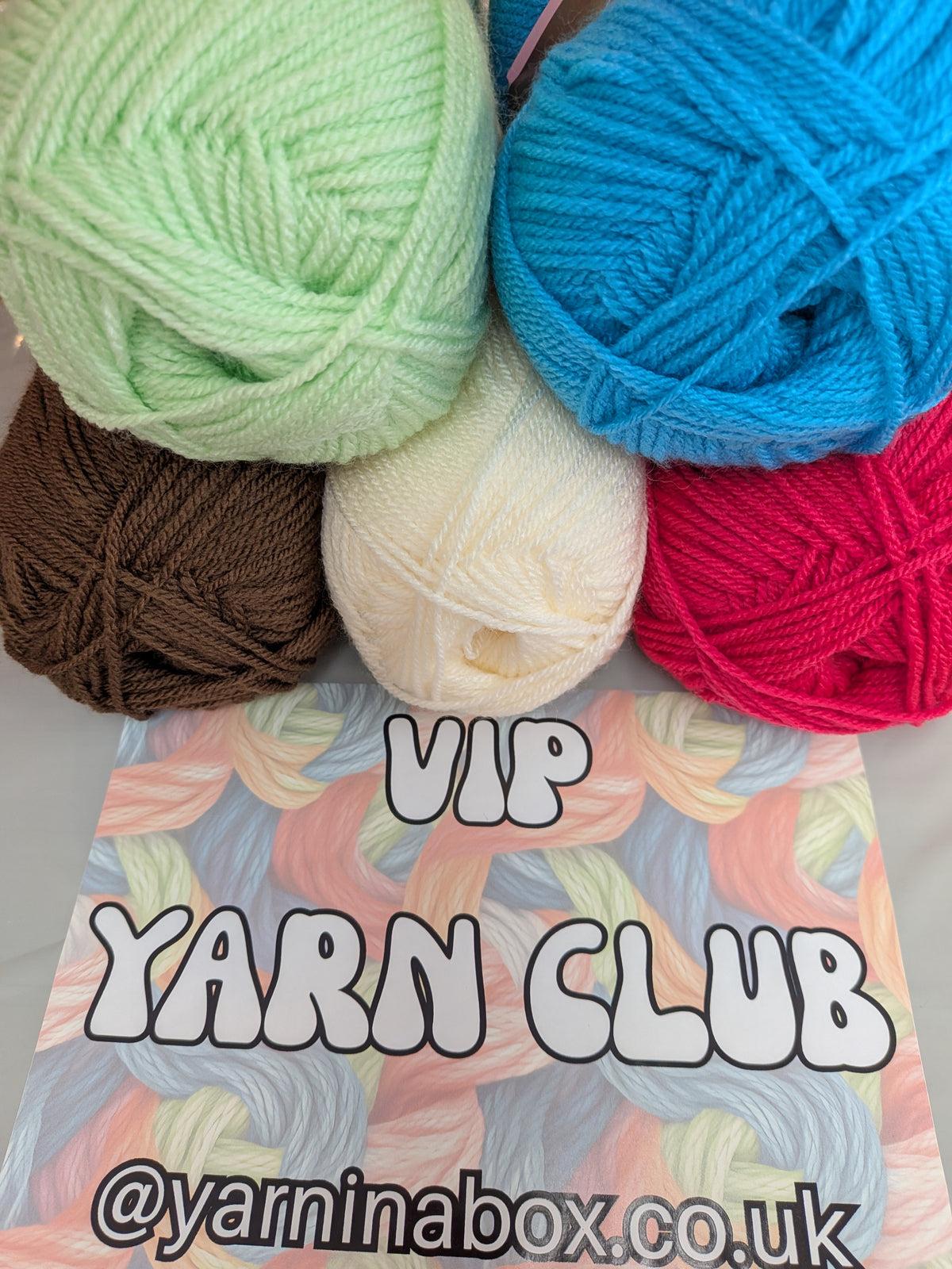 VIP Yarn Club - Stylecraft Special DK