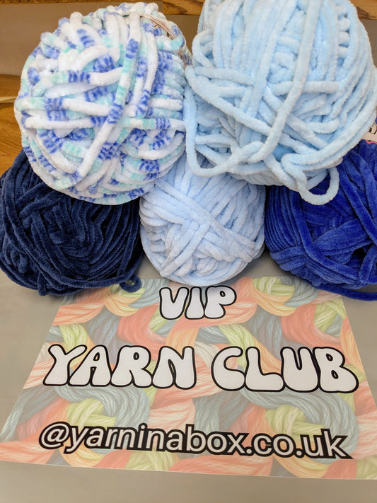 Chenille VIP Yarn Club